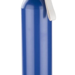 Aluminum bottle ALLUMI 650 ml