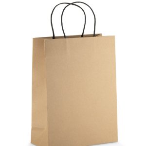 Paper bag PAKLO large
